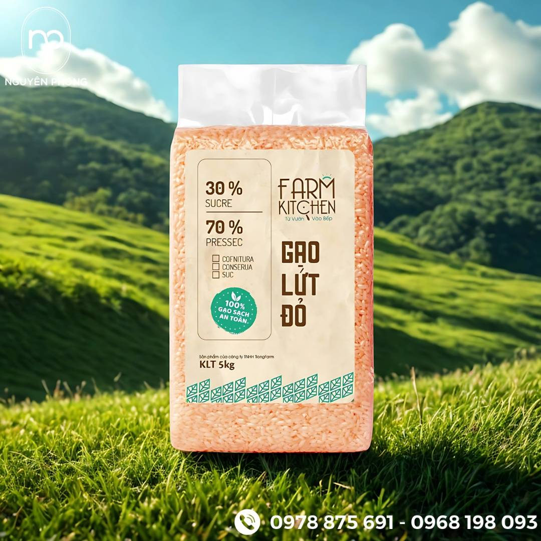 Một số mẫu tem gạo lứt 